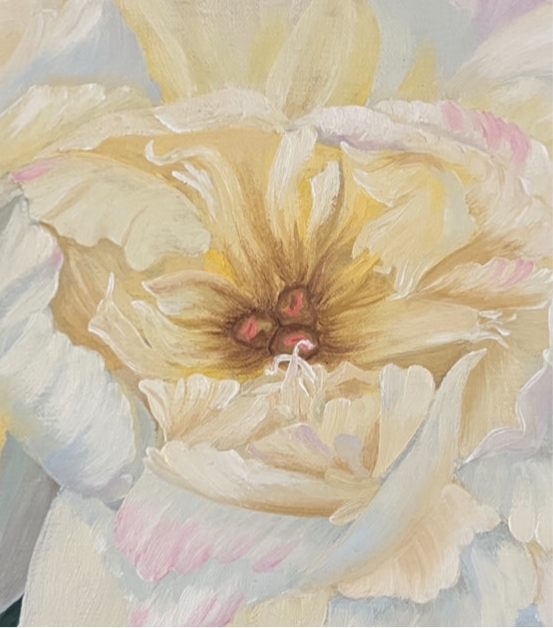 A First Peony of Spring