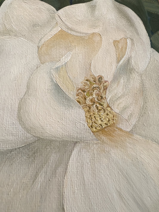 Southern Magnolia Bloom