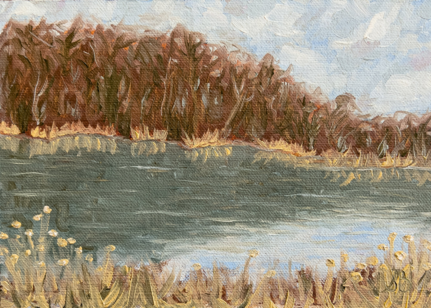 Reflection in the Pond
