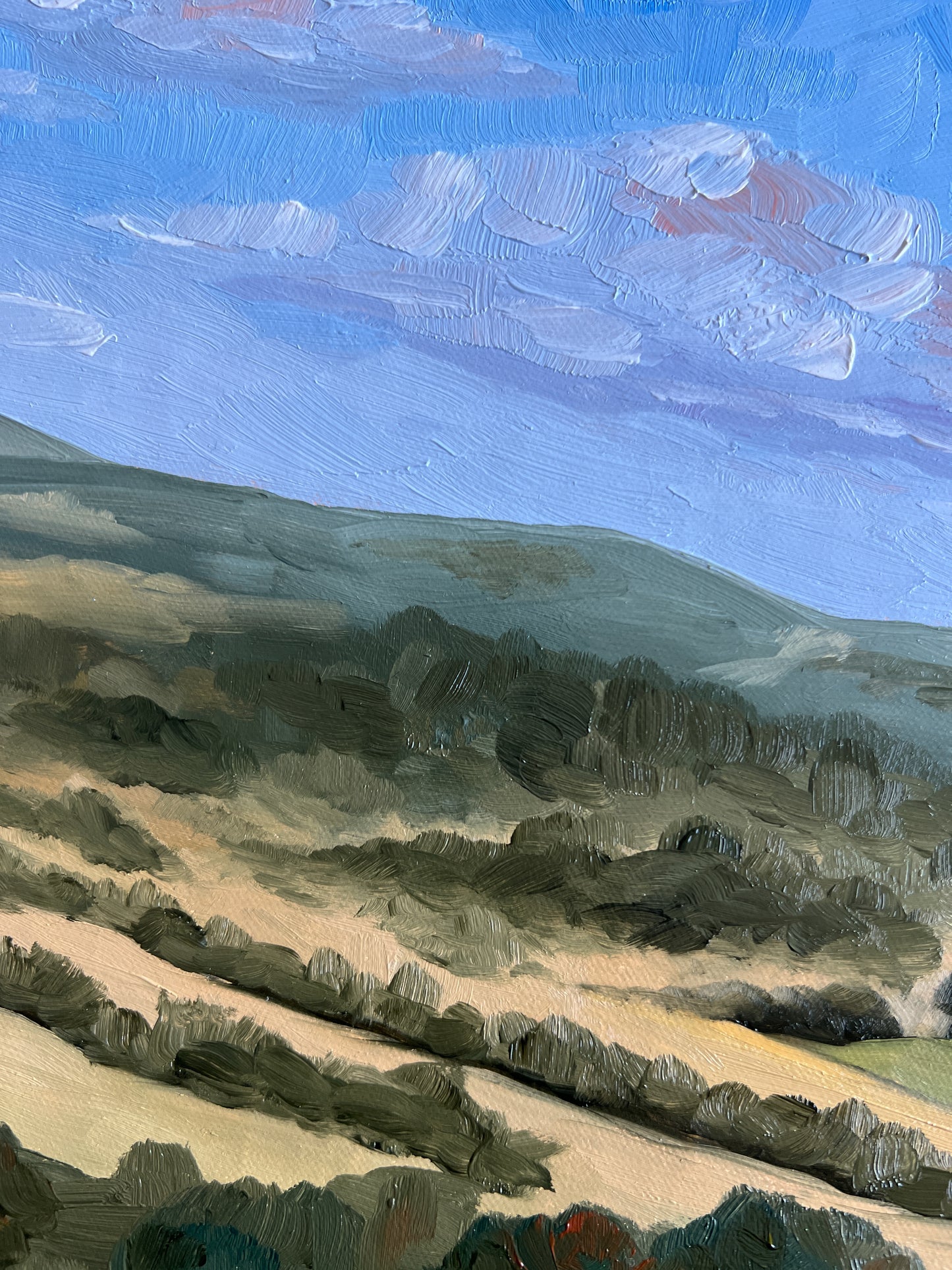 Overlooking Thompson's Station