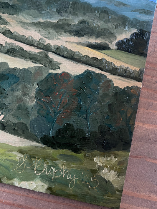 Overlooking Thompson's Station