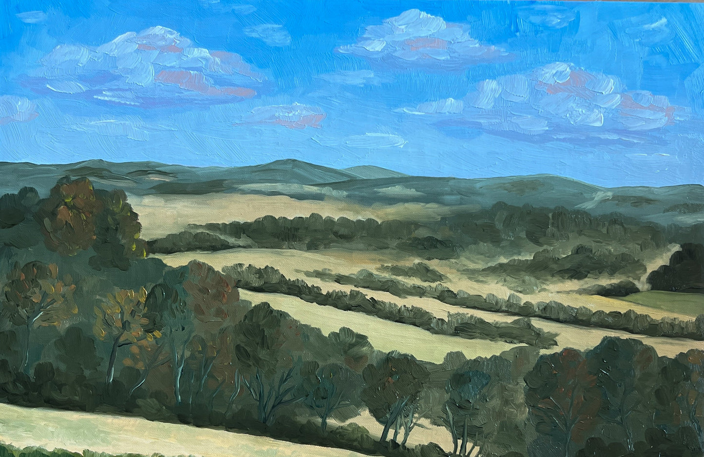 Overlooking Thompson's Station