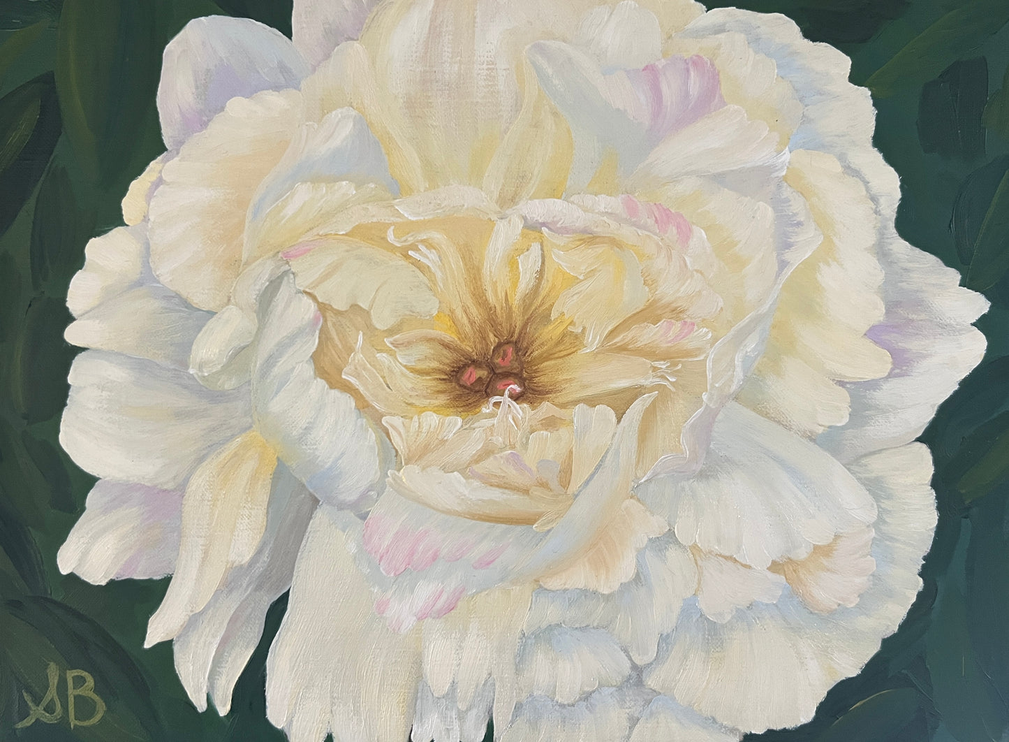 A First Peony of Spring