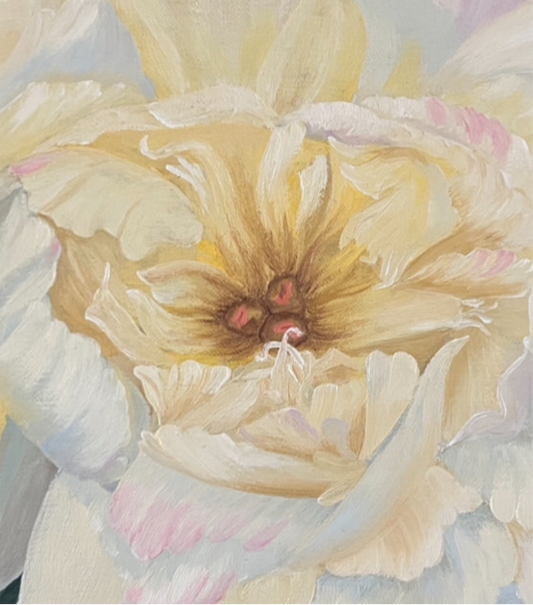 A First Peony of Spring
