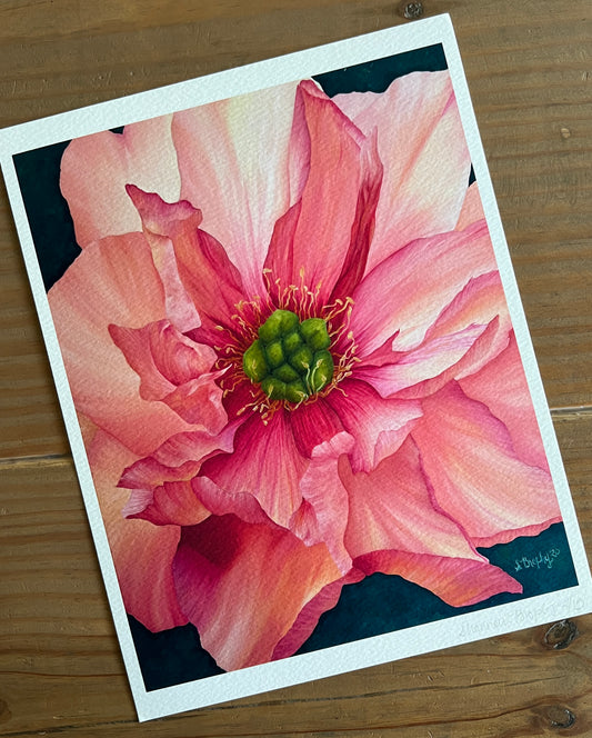 Print: Ruffles