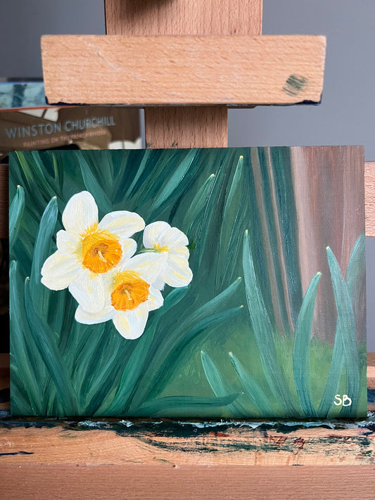 A Host of Golden Daffodils
