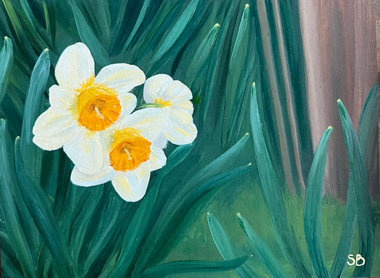 A Host of Golden Daffodils