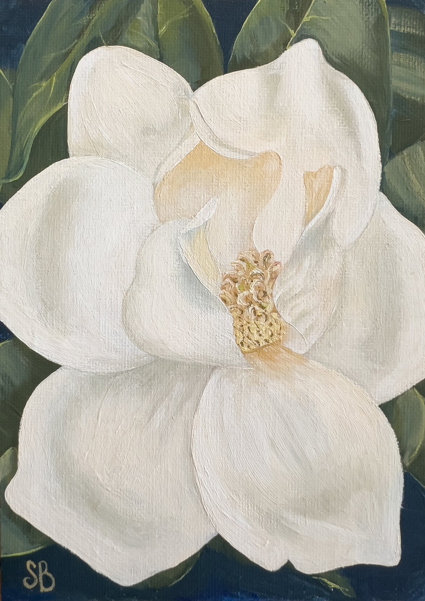 Southern Magnolia Bloom