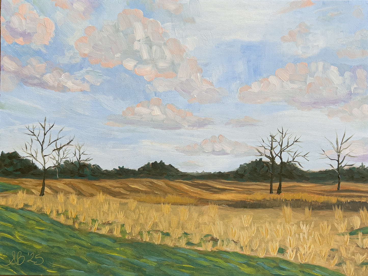 Early Spring Afternoon
