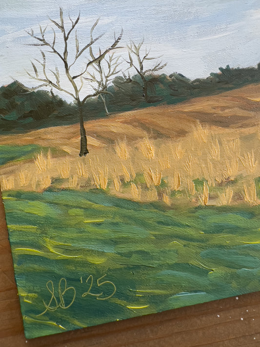 Early Spring Afternoon