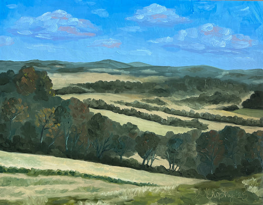 Overlooking Thompson's Station