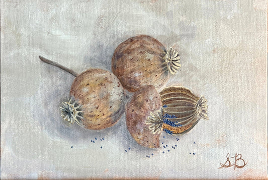 Poppy Pods and a Scattering of Seeds