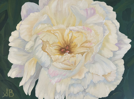 A First Peony of Spring